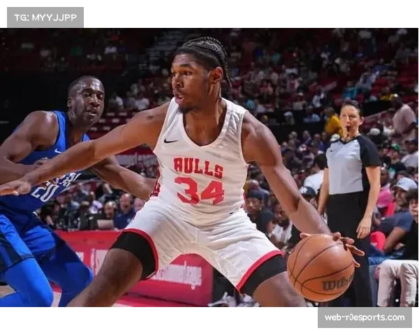 猛龙与公牛附加赛可能遭遇降雨，但场馆顶棚将关闭”